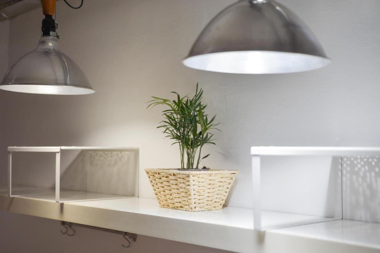 San Pierino Apartment ฟลอเรนซ์ ภายนอก รูปภาพ